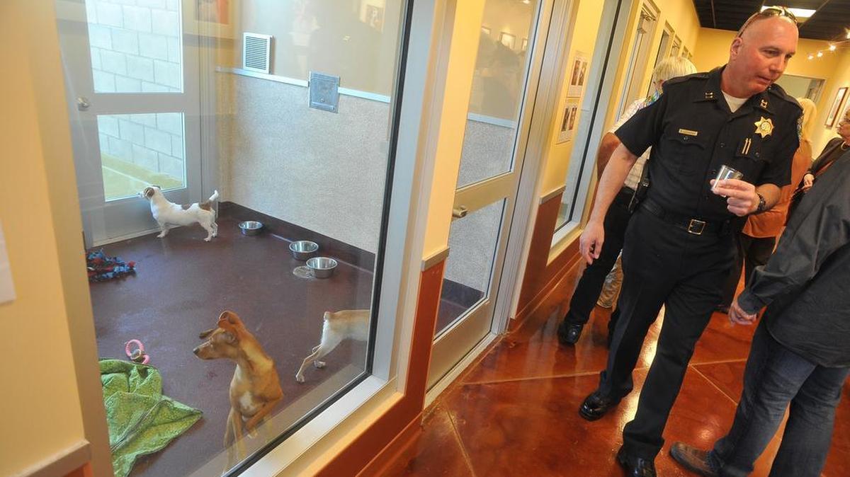 Dogs up for adoption check out their new enclosure during the grand opening of the Miss Winkles Pet Adoption Center, on Friday afternoon, Nov. 15, 2013, as visitors tour the facility.