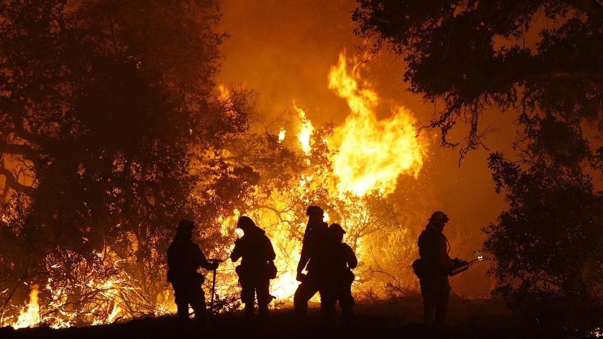 Firefighters north of Big Sur battle the Soberanes Fire in August. Finally contained, it is perhaps the most expensive wildfire in U.S. history.