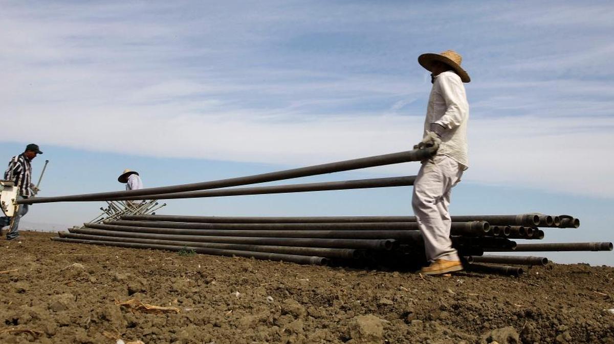 
Workers move irrigation pipes from a field in the Westlands Water District near Five Points in western Fresno County on June 25, 2013. Under a proposed settlement with the Obama administration, Westlands would be responsible for providing a water drainage system that Bureau of Reclamation promised to build in the 1960s.
