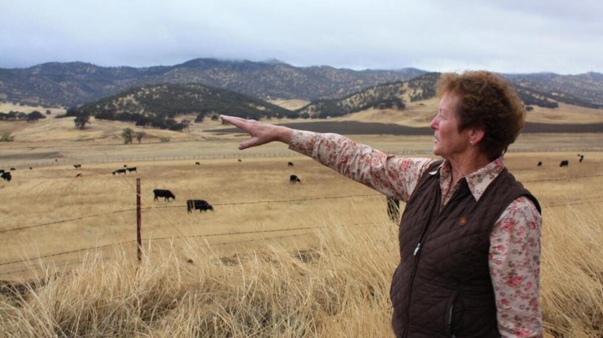 Mary Wells, who owns ranch land in the area that would be flooded by the proposed Sites reservoir, looks to the future of agriculture in the Sacramento Valley and sees the need for additional surface storage.