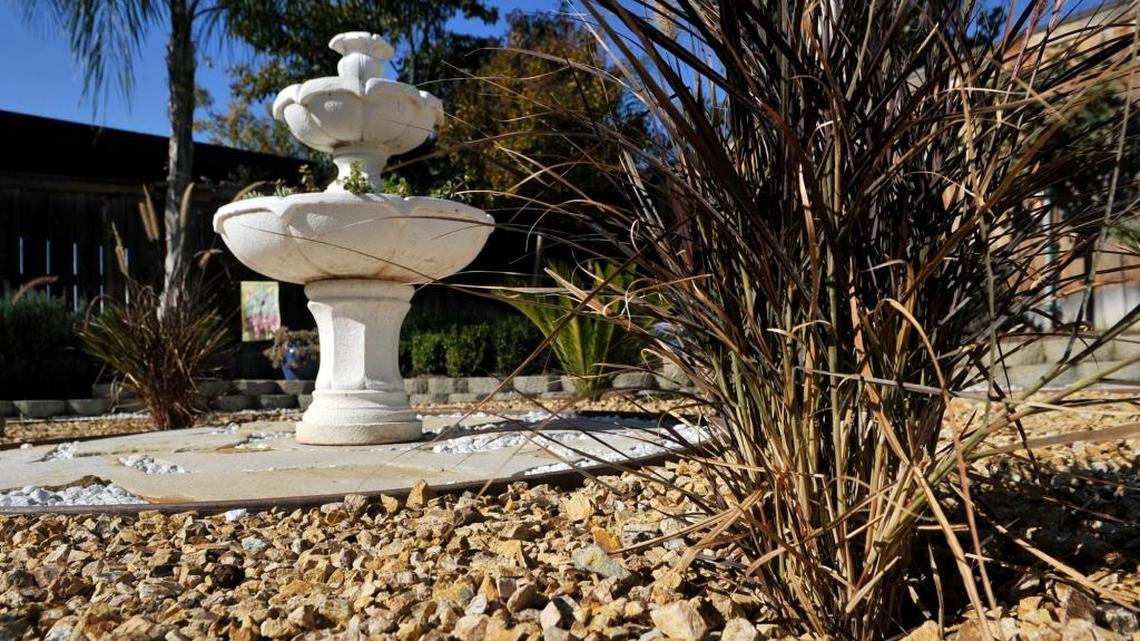 Jon Grace’s drought-tolerant and easy care backyard in Clovis. Grace tore out his front and back yards and replaced them with xeriscape landscaping to deal with drought conditions. In the absence of a previous state mandate, Clovis and Fresno residents are using more water in 2016 than they did a year ago, according to state officials.
