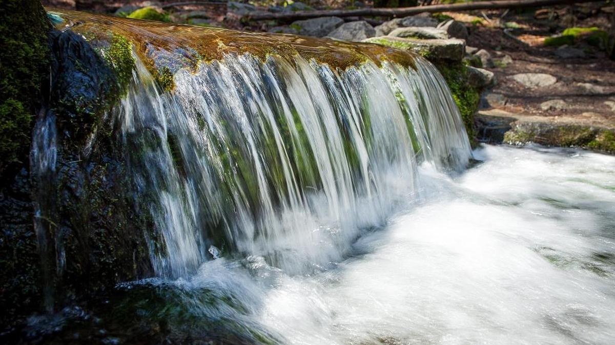 Fern Spring, as photographed on March 23, 2017, is sometimes called the smallest waterfall in Yosemite National Park.