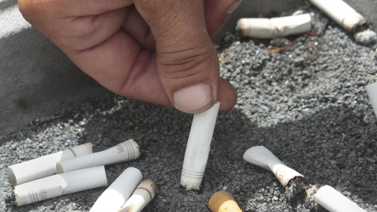 The investment staff of the $300 billion California Public Employees’ Retirement System fund is urging the board to reverse its long-standing policy and reinvest in tobacco stock.