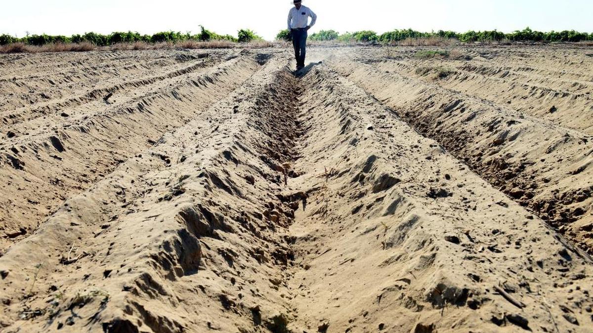 
While farmers such as Will Scott Jr. of Fresno are forced to fallow their fields because of the drought, some wealthy Californians continue to use as much water as they please. The Center for Investigative Reporting, using the California Public Records Act, has found that 365 residences in the Golden State used more than 1 million gallons of water during the year ending in April.
