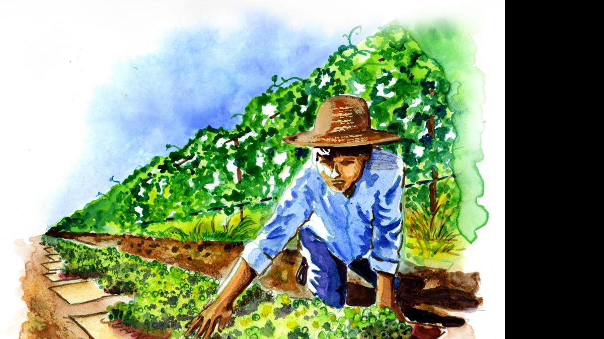 
“Why shouldn’t we stand proud as we feed the world, walking our rows, plucking a grape or almond or tomato or orange and delighting in its sweet taste?” writes Fresno author Danielle Shapazian.
