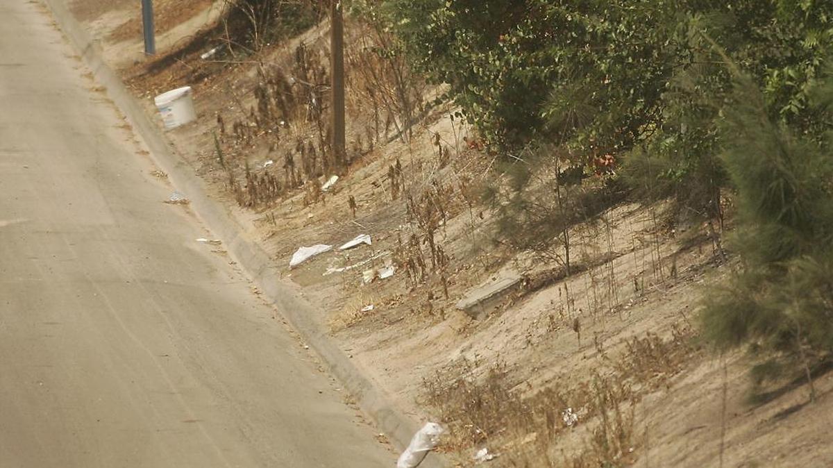 Litter collects along the side of Highway 41 in central Fresno.