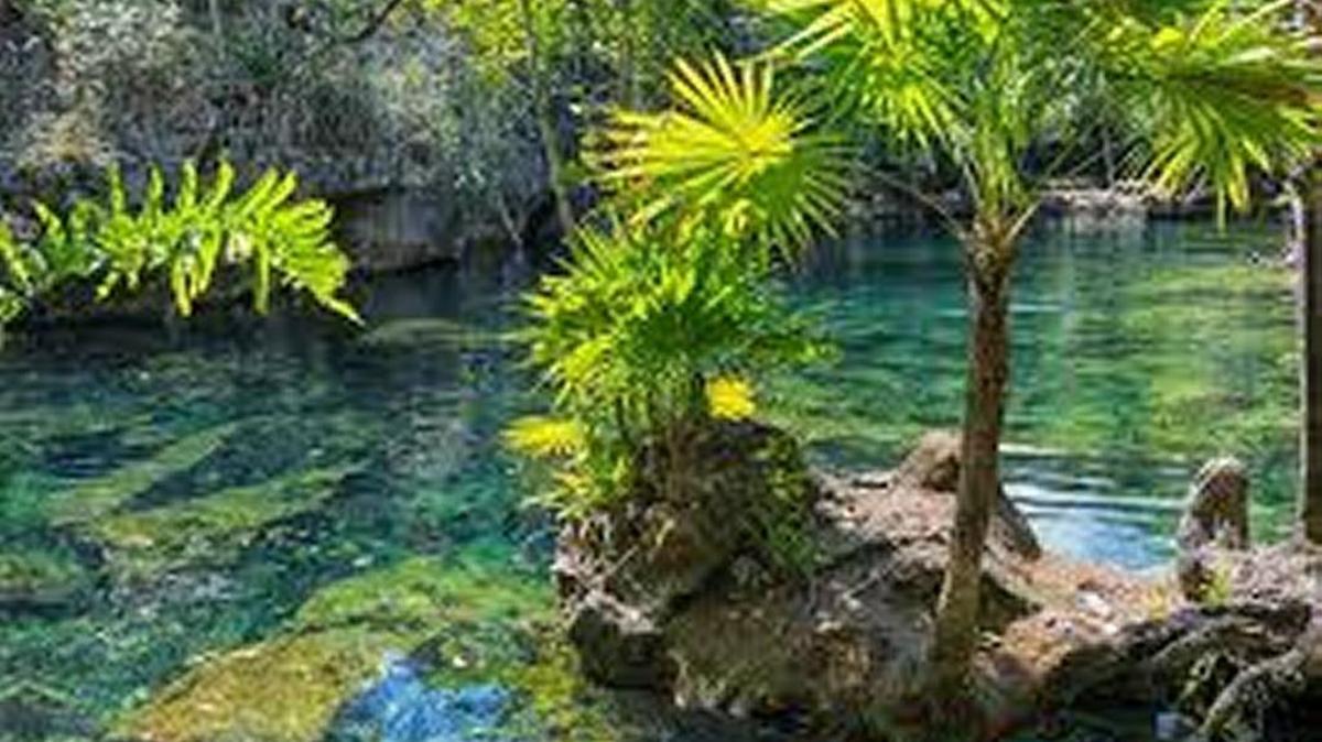 Mexico is beautiful; why aren’t Mexicans making their lives there, asks letter writer Kenneth Reed.