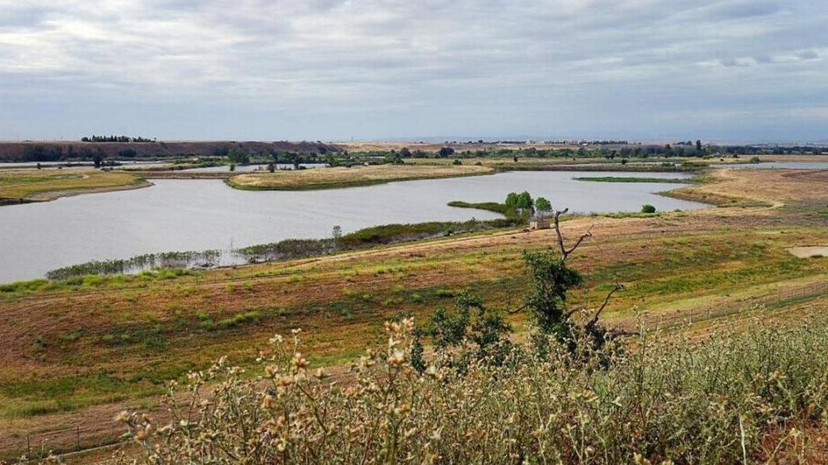 The River West Fresno Open Space Area, part of the long-envisioned San Joaquin River Parkway, encompasses about 400 acres of undeveloped river bottom land north of Fresno and west of Highway 41.