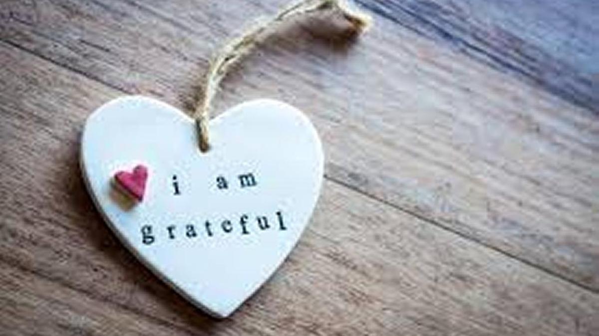 This is a season of happiness and the door to happiness is gratitude, experts say. Write a letter to The Bee sharing your favorite Thanksgiving Day or something you are thankful for.