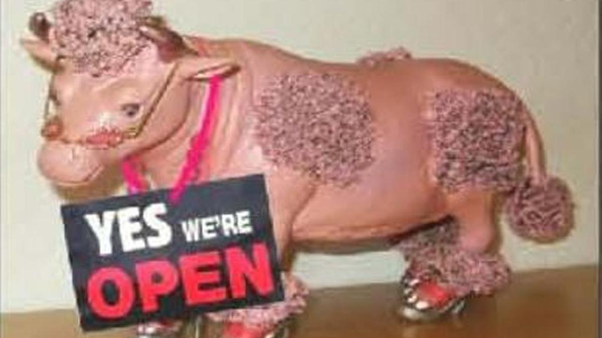 The Pink Cow Thrift Shop at Wesley United Methodist Church is in need of donations. The church is at 1343 E. Barstow Ave., near Fresno State.