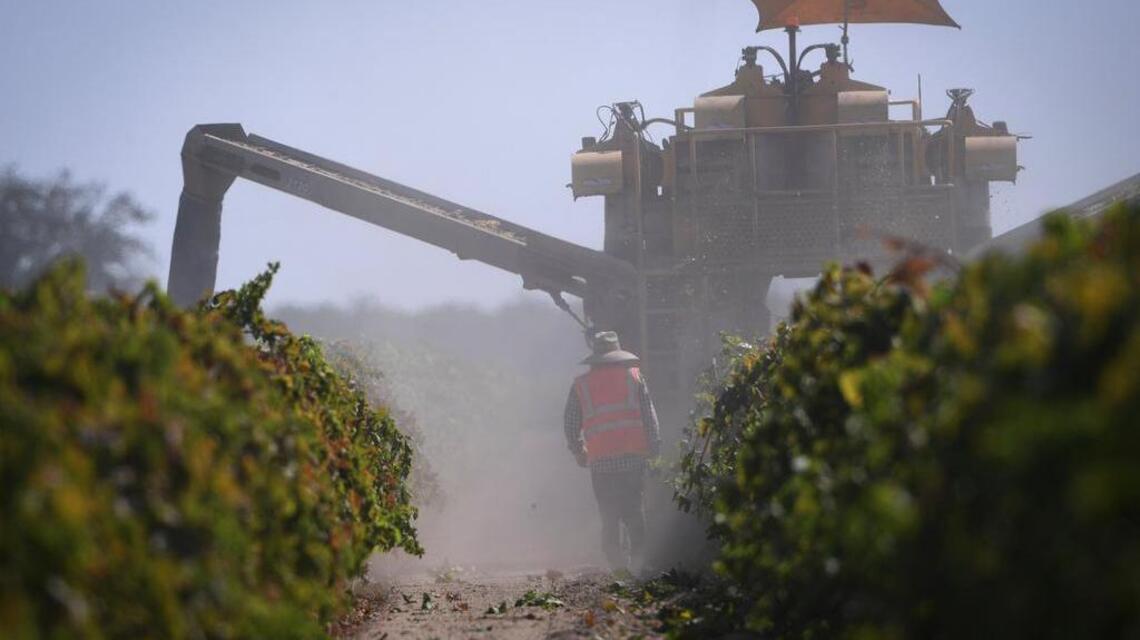 Farm workers do the jobs most of us avoid. They need unemployment benefits | Opinion