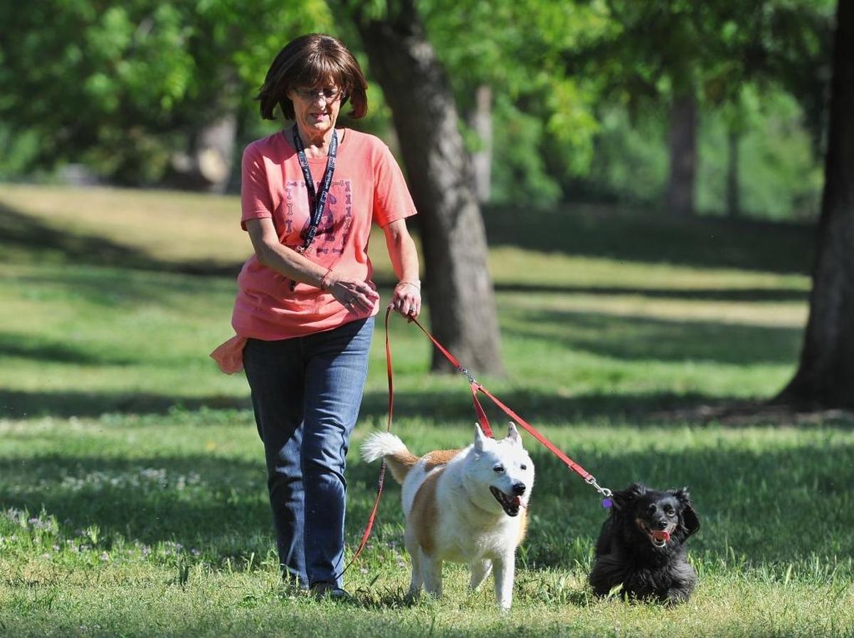 Josie McGuire walks her dogs Jersey, left, and Mitzi, at Letterman Park in Clovis.