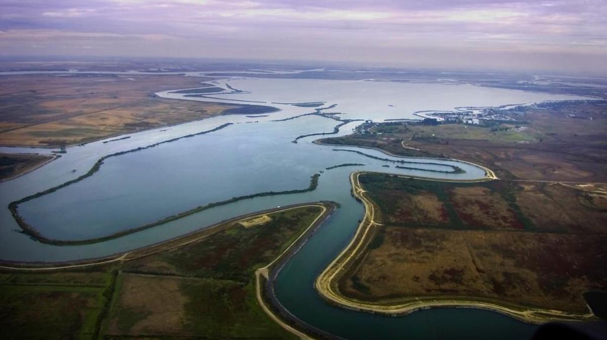 The Sacramento-San Joaquin River Delta is not a true delta, a place where a river fans out as it spills into the sea. Instead it’s an estuary, an inland water body where ocean and fresh flows mingle, one of the world’s richest ecosystems. At 1,300 square miles it is about the size of Rhode Island and has 1,100 miles of levees.