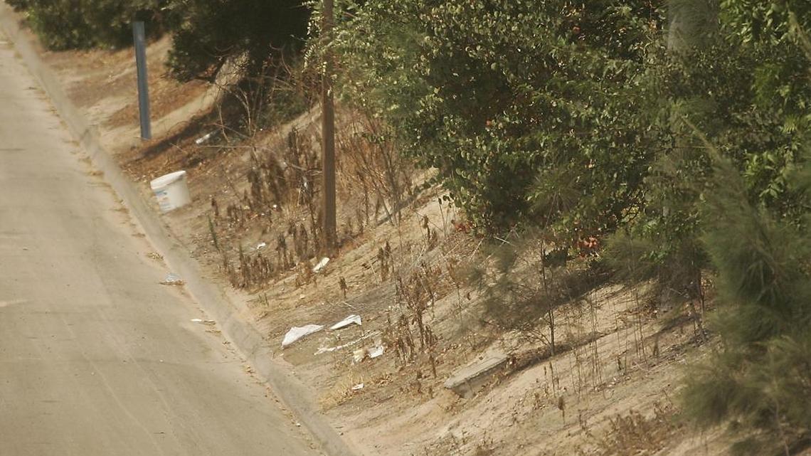 Trash litters the area along Highway 41in Fresno Friday.