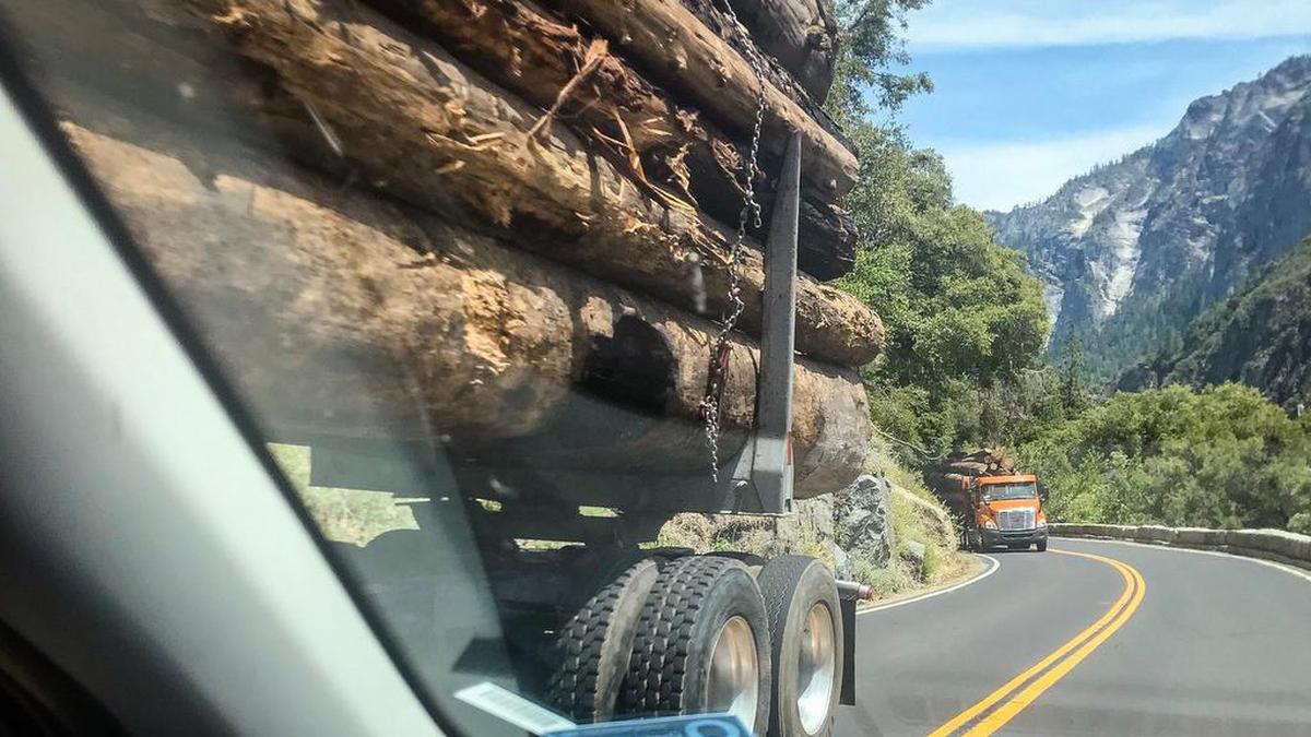 Logging trucks driving up Big Oak Flat Road from Yosemite Valley in Yosemite National Park, June 2022.