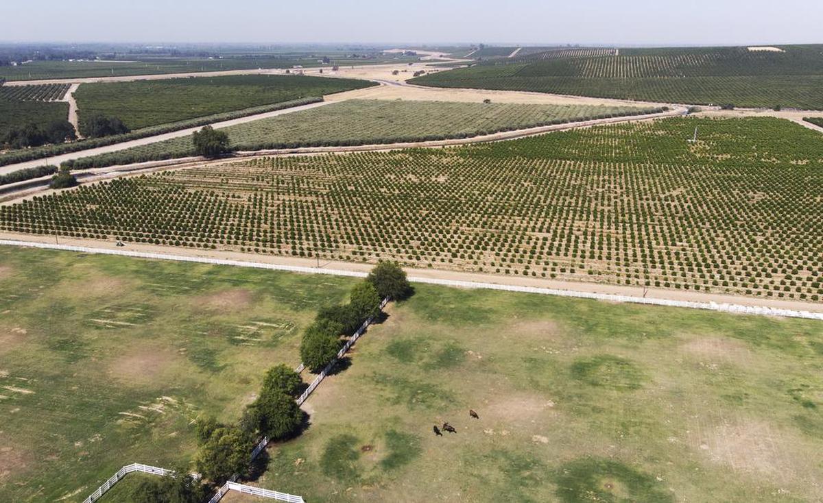 The Harris River Ranch property, over 7,000 acres near the Kings River along Trimmer Springs Road, has been proposed as a special study area, added to the county general plan. Owned by John Harris, the land may become home to a college campus, housing, commercial and recreational use including hiking trails along the river and more. Photographed Thursday, July 14, 2022.