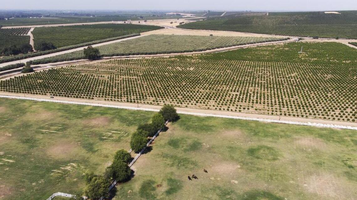 Farmland along Kings River should remain open, not covered with homes or businesses