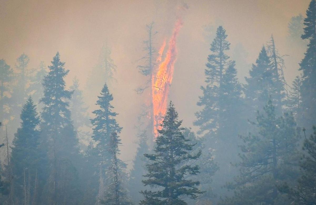 Flames erupt on a hillside above China Peak ski area near Highway 168 as the Creek Fire continues to rage through the area after burning more than 200,000 acres, on Sunday, Sept. 13, 2020.