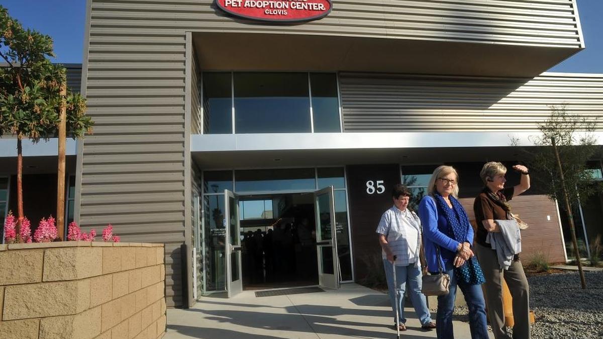 Miss Winkles Pet Adoption Center is at Sierra and Temperance avenues in Clovis.