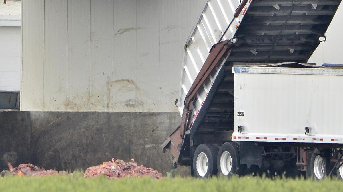 What appears to be piles of animal renderings at Baker Commodities, 7480 Hanford-Armona Road, on April 24, 2012, in Hanford.