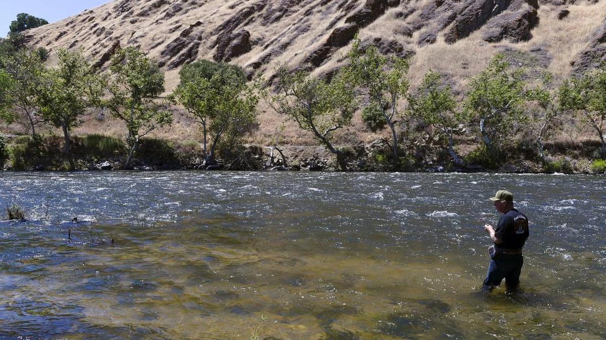 A man fishes the lower Kings River at Winton Park Sunday, May 13, 2018 near Piedra, east of Fresno.