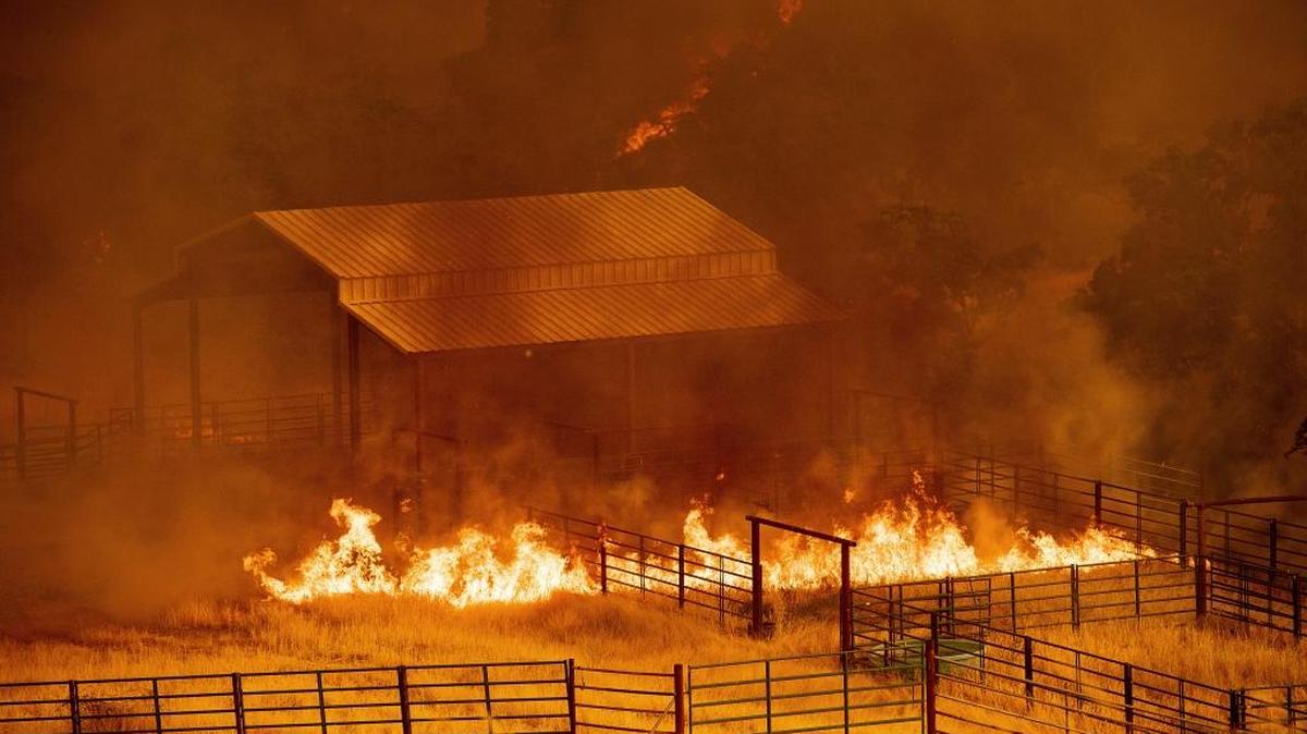 Flames rise around an outbuilding as the County fire burns in Guinda, Calif., Sunday, July 1, 2018. Drought conditions spreading through the area have likely allowed blazes like the County fire to burn out of control.
