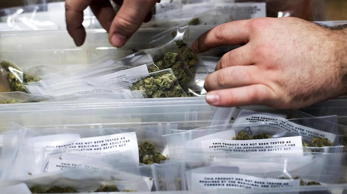 In this Jan. 6, 2018 photo, an employee stocks cannabis at a store shortly before its first day of recreational marijuana sales in San Francisco. Fresno is gearing up to license dispensaries for medical marijuana sales.