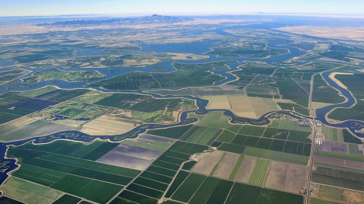 The Sacramento-San Joaquin rivers delta, a flashpoint in California’s water wars.