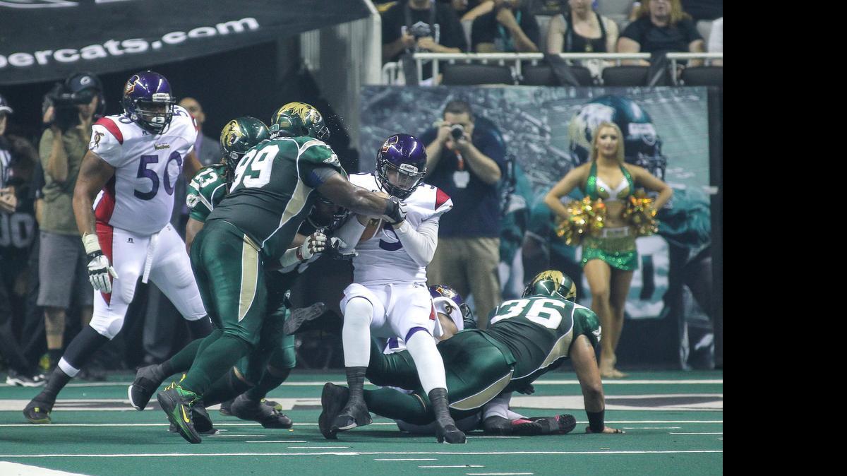 
Jason Stewart (99), a former Fresno State nose tackle now with the San Jose Sabercats, assists on a sack of New Orleans Voodoo quarterback Adam Kennedy during a SaberCats victory July 10. Even at 34, Stewart still plays at a high level. The Bakersfield native was the Arena Football League’s Defensive Player of the Year last season and is a primary reason why the SaberCats are currently 15-1.
