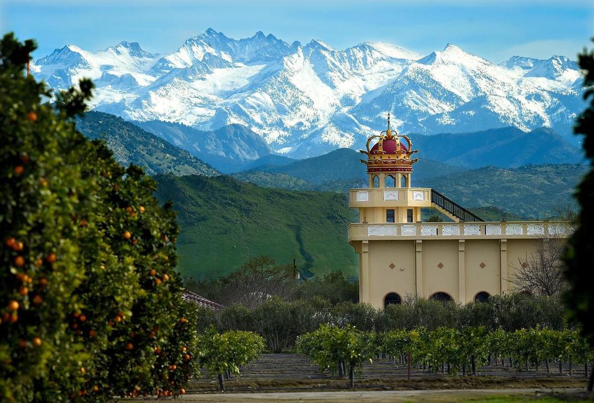 The snow-cloaked Sierra range looms over Orosi’s Crusaders of the Divine Church of Christ and its crown-topped tower and surrounding orange groves, Wednesday afternoon, Jan. 16, 2019.