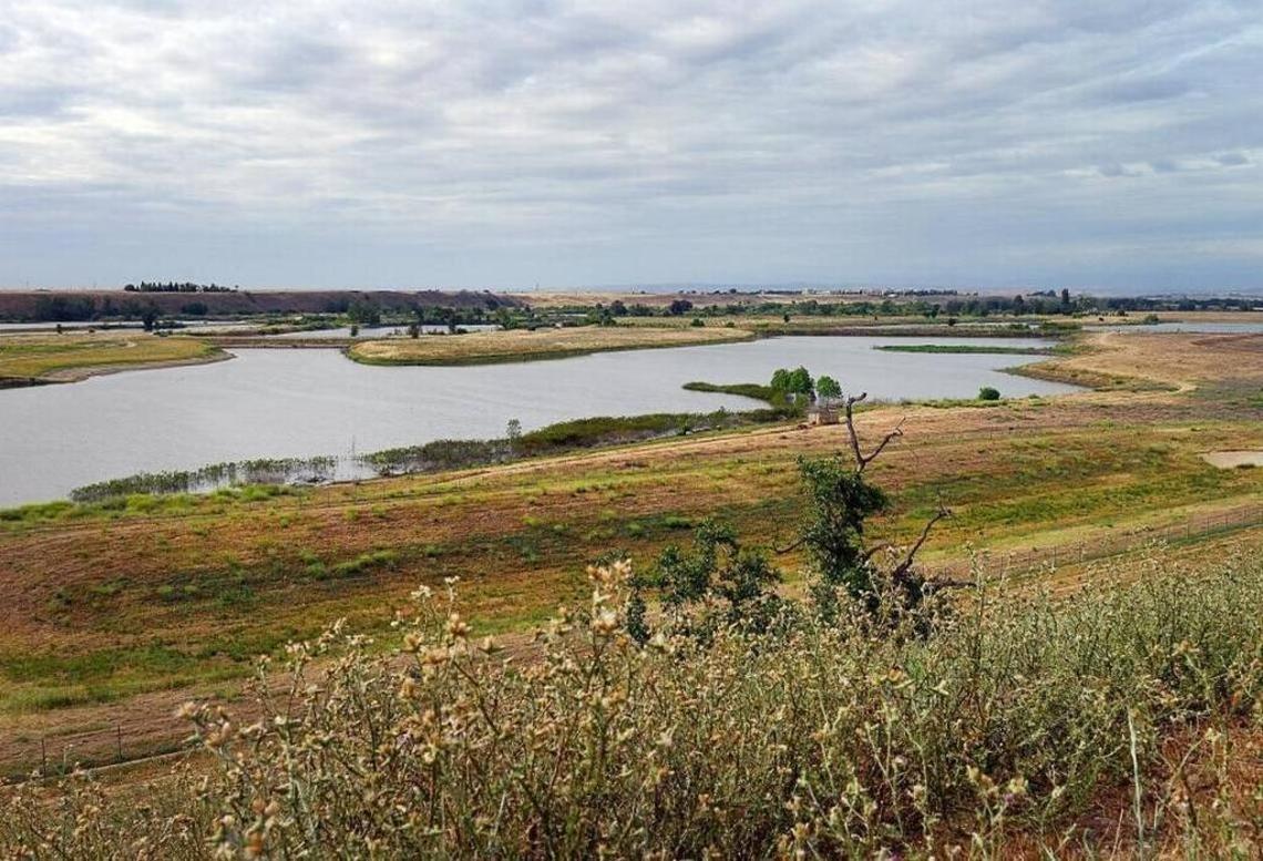 The River West Open Space Area as seen from Spano Park, which will become the primary Fresno-side access point following Wednesday’s vote by the San Joaquin River Conservancy board.