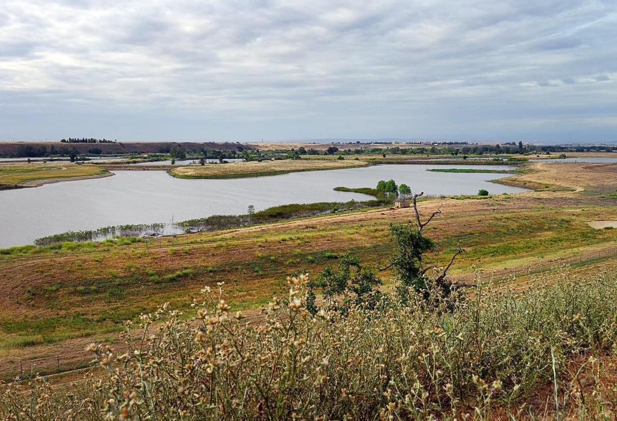 The River West Fresno Open Space Area north of Fresno’s bluffs encompasses about 400 acres of undeveloped riverbottom land. The Lewis S. Eaton Trail would also be extended some 2 miles west of Highway 41 and would also include fishing and boating access along with hiking trails.