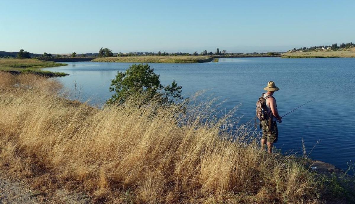 A fisherman tries his luck in a pond located inside the River West Open Space Area in the northern outskirts of Fresno on Friday, June 30, 2017.