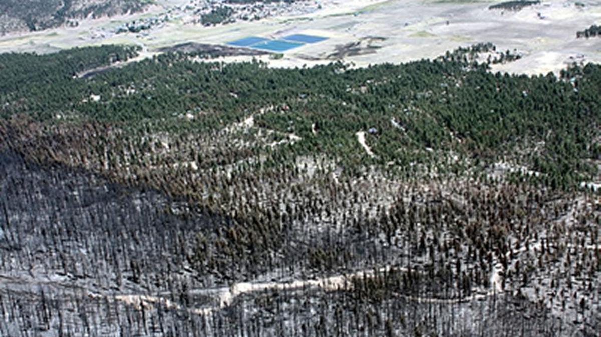 Conservative fuel treatments designed to reduce fire severity while still providing forest cover and wildlife habitat worked equally as well as more intensive treatments in allowing for the protection of homes during the 2011 Wallow Fire, a study published in the journal Forest Ecology and Management found.