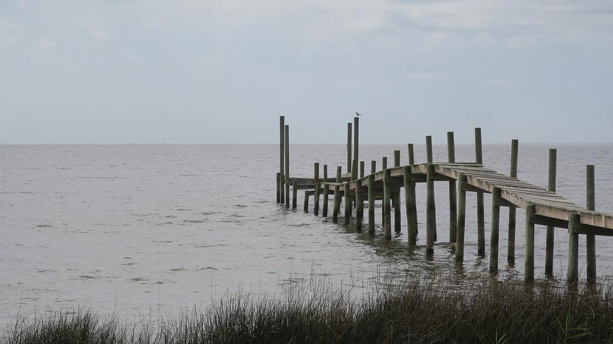 A dock extends into Apalachicola Bay, where the oyster fishery has collapsed. Climate change could make Florida waters too salty and too warm for the state’s famed oysters to survive. Scientists worry about the fate of the once-thriving oyster reefs of Apalachicola Bay and Cedar Key.