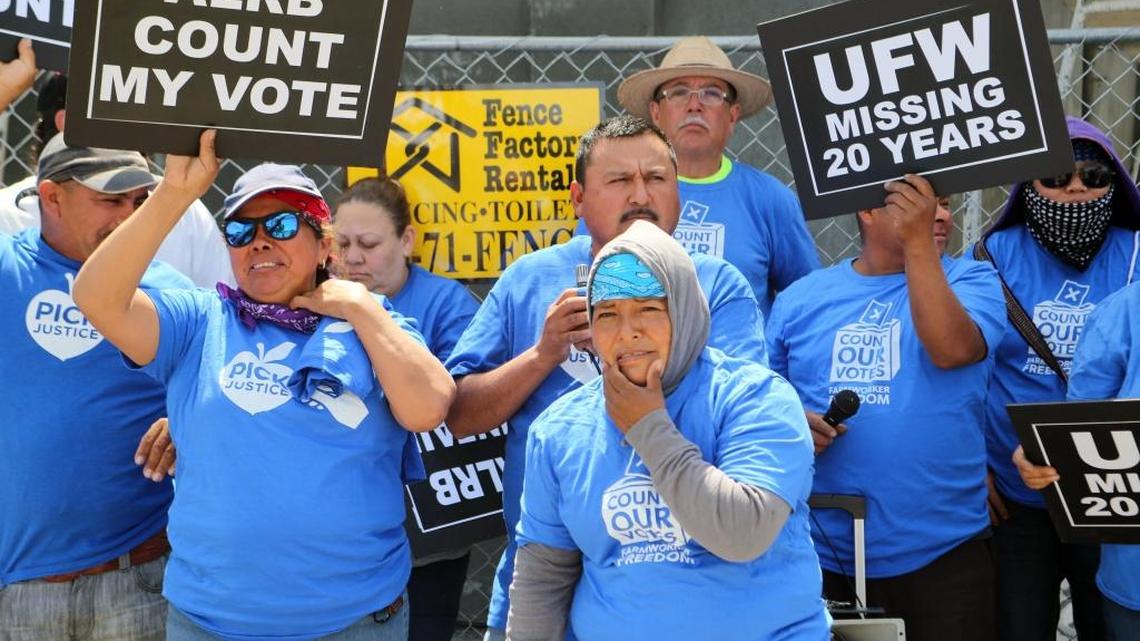 Gerawan Farming employees protest an April 15, 2016, decision by the ALRB upholding an administrative law judge’s findings that the company interferred with a decertification vote. The company appealed the board’s decision.