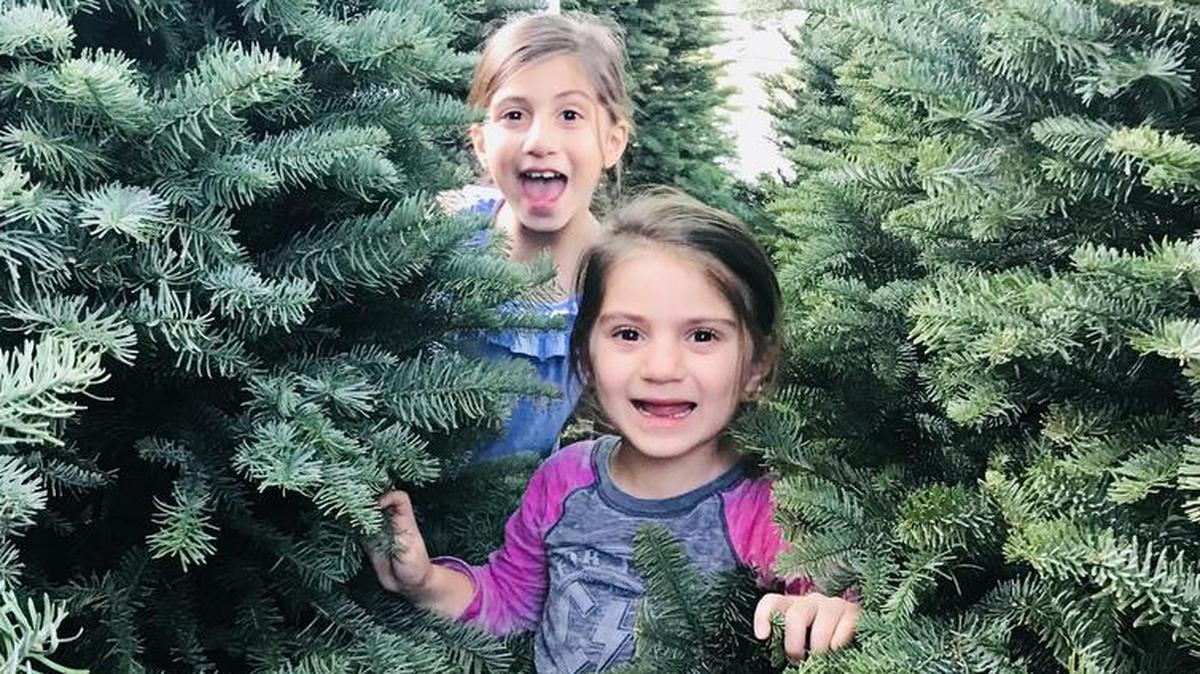 Fab Mom Jill Simonian started a new holiday tradition with her daughters this year — picking out the best fake Christmas tree.