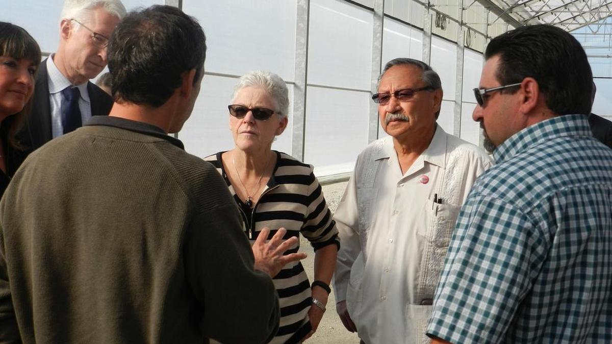Gina McCarthy, center, administrator of the U.S. Environmental Protection Agency, discusses pesticide safety while with Arturo Rodriguez, president of the United Farm Workers, on Oct. 20 at a farm near Stockton.