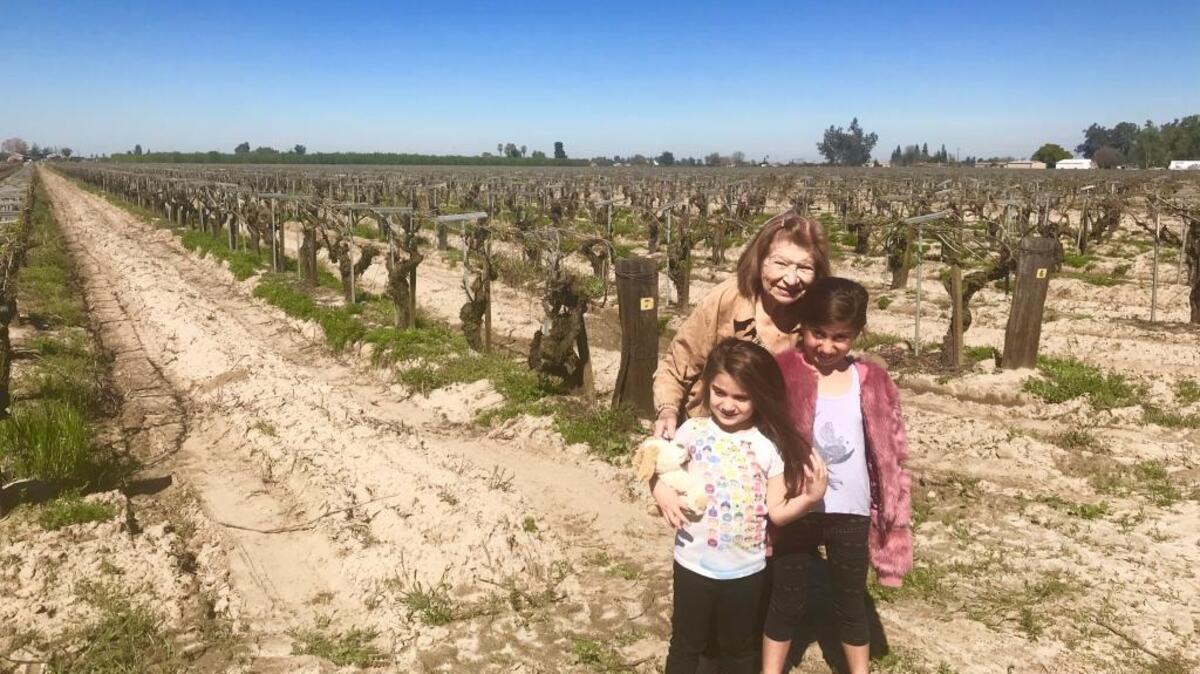 Jill Simonian’s daughters walk the family vineyard with their great-grandmother Esther Kalebjian. The vines were fruitless and brown ... between blooms.