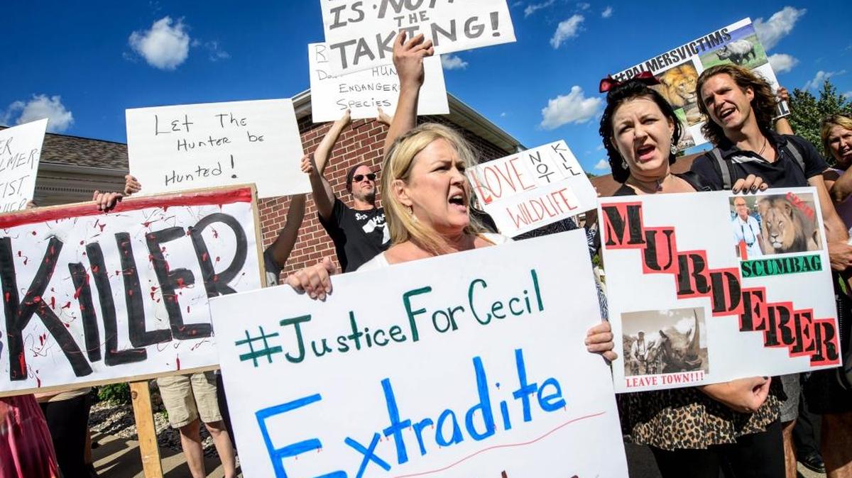 Kristen Hall leads a group of protestors from Animal Rights Coalition and Minnesota Animal Liberation gathered in front of Dr. Walter Palmer's dental practice, Wednesday, July 29, 2015, in Bloomington, Minn. Palmer came under fire after his involvement in the death of Cecil the lion became public.