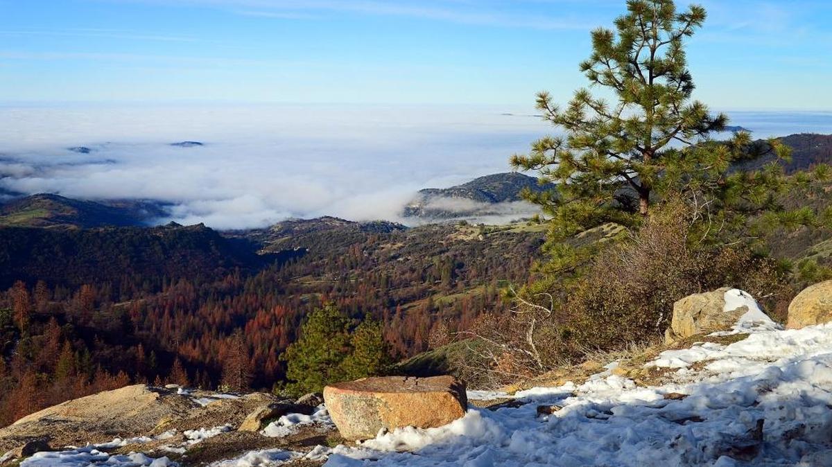 An ocean of fog clings to the edge of the Sierra Nevada mountains as seen looking west from Highway 180 above Dunlap in January.