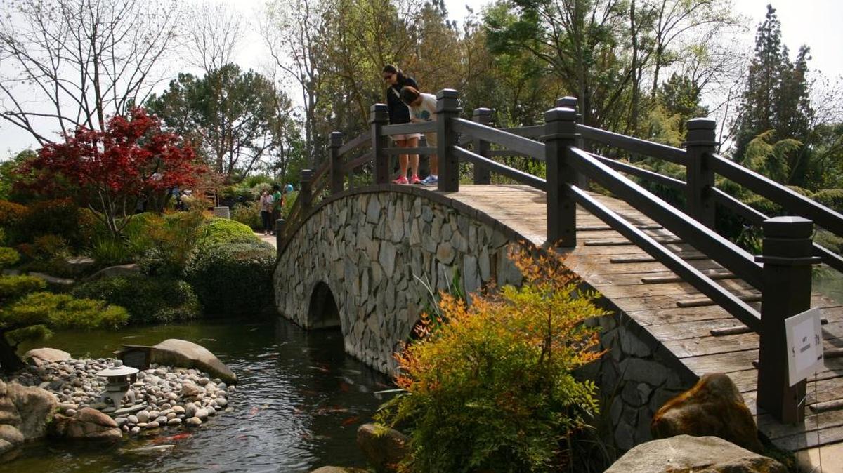 The Shinzen Friendship Garden in Woodward Park during the Spring Blossom Festival is a Fresno treasure.