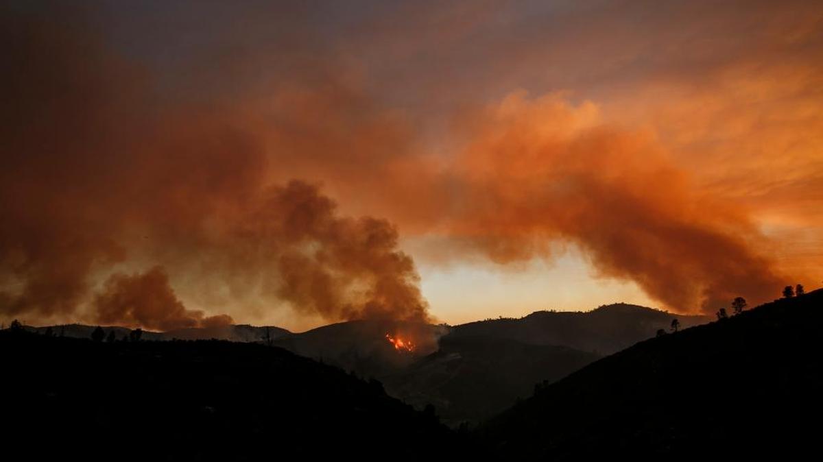 Plumes of smoke rises as the northern front of the Detwiler wildfire burns outside of Coulterville on July 20, 2017.