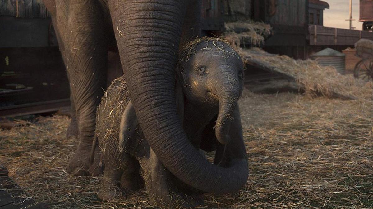 Tim Burton directed a live action/CGI hybrid remake of Disney s classic “Dumbo.”