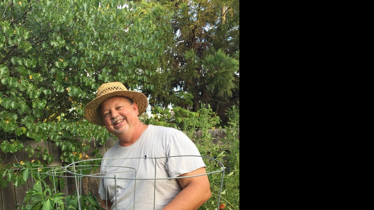 
Davor Golik picks his Anaheim chiles.
