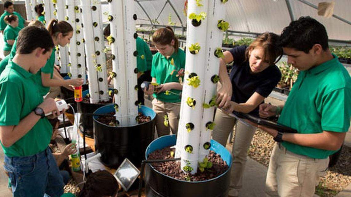 Students in the Wonderful Company’s ag prep program.