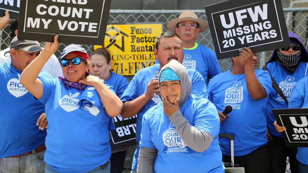 GERAWAN PROTEST JE VDA 04/20/16 FRESNO -- About 150 Gerawan Farming Inc. workers protested an April 15 decision by the ALRB upholding an administrative law judge’s findings that the company interferred with a decertifcation vote. The company appealed the board’s decision. The protest took place outside the Fifth Circuit Court of Appeals.