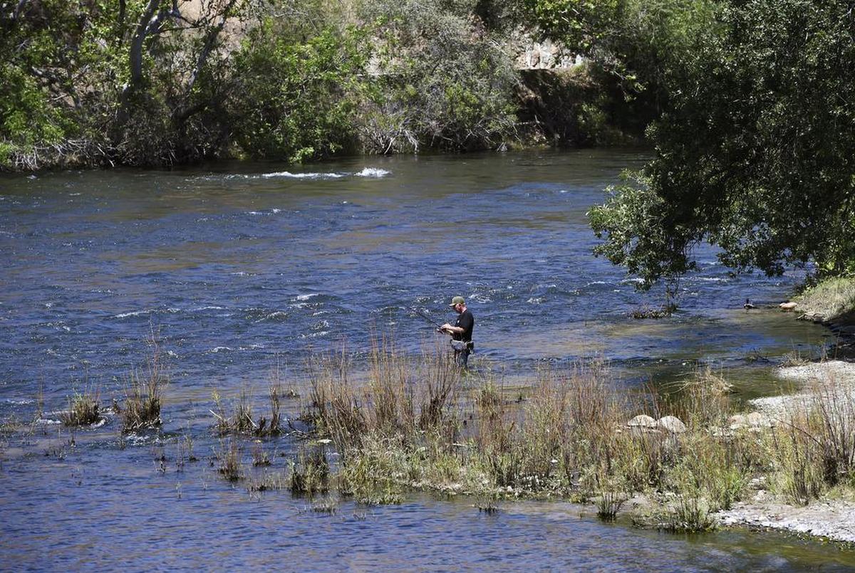 A man fishes the lower Kings River at Winton Park Sunday, May 13, 2018 near Piedra, east of Fresno.