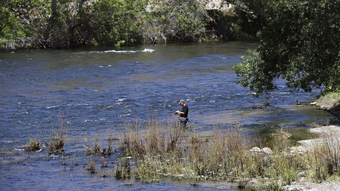 Central California fishing report: Delta stripers are on the move. Eastman bass a good bet and Don Pedro trout and bass hitting