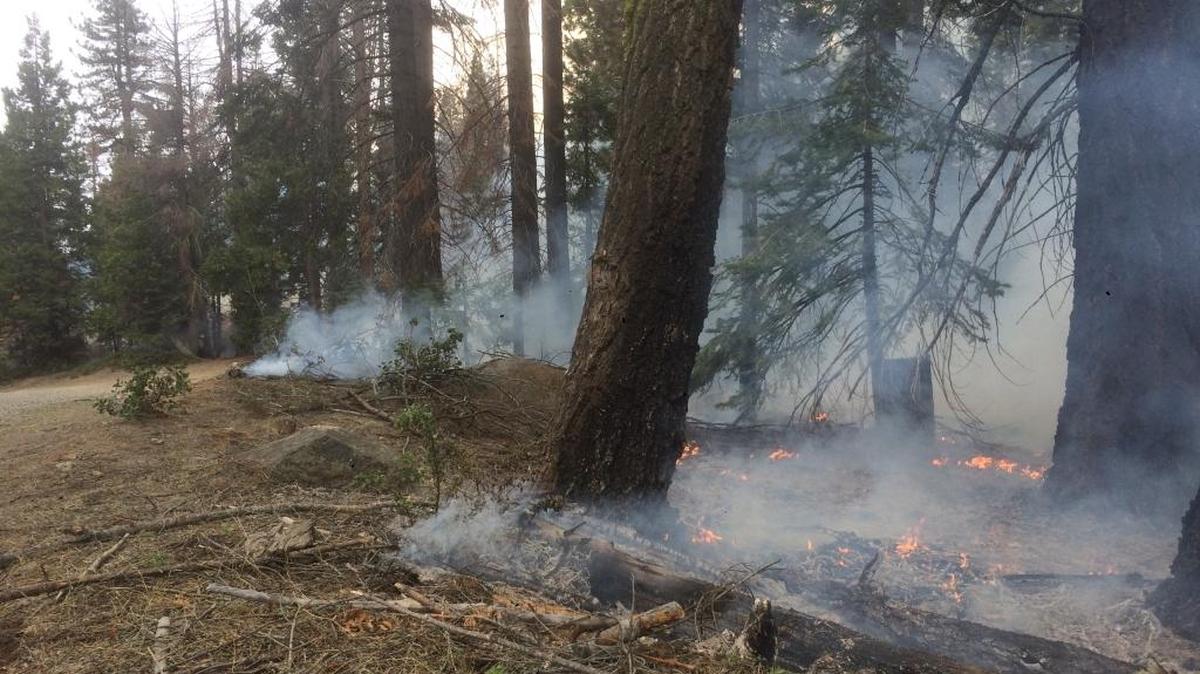 A prescribed burn done in the Dinkey Creek area near Shaver Lake helped thin the forest of fuel, which will reduce potential for a larger wildfire.